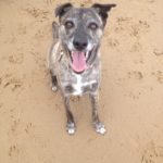 MarGins walking and glamping holidays north norfolk coast path