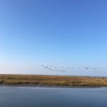 MarGins walking and glamping holidays north norfolk coast path