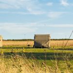 Glamping at Deepdale Music Festival