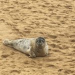 MarGins Walking and Glamping Holidays